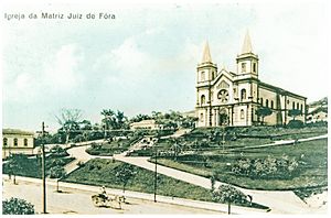 Catedral Metropolitana De Juiz De Fora: História, Organização pastoral, Organização física