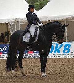 Inessa Merkulova mit Mister X - Deutsches Dressur-Derby 2015.JPG