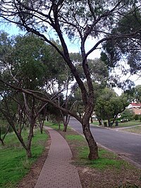 Ingle Farm, South Australia