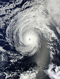Hurricane Iselle Category 4 Pacific hurricane in 2014