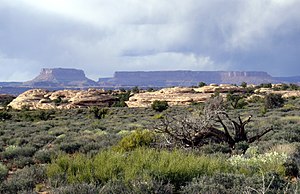 Geologi Mesa