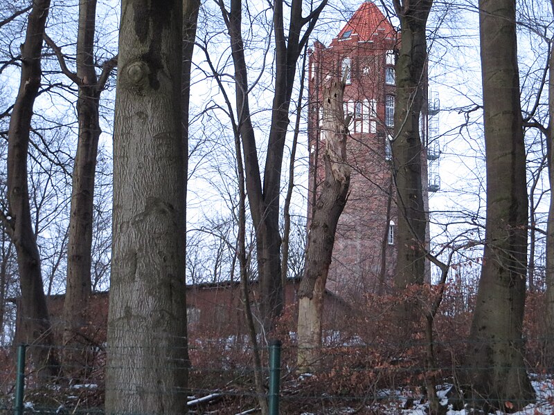 File:Isolierstation und Marine-Wasserturm hinter Bäumen (Mürwik Januar 2015).JPG
