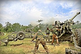 Italian Army - 1st Mountain Artillery Regiment exercise