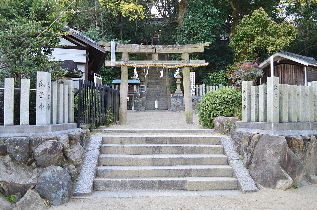 File:Iwa-jinja (Kashiwara), torii.jpg