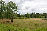 Jacobsberg: En trädgård, gravmonument och före detta utkikstorn i Follingbo socken på Gotland