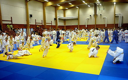 International judo camp in Artjärvi, Orimattila, Finland
