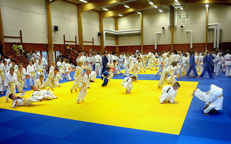 File:Judo Camp in Artjärvi, Finland.jpg