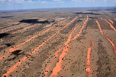 Desert many. Намибия пустыня Калахари. Пустыни Калахари в Африке. Ботсвана пустыня Калахари. Впадина Калахари Африка.