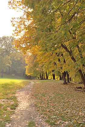 Havainnollinen kuva artikkelista Kamenica Park