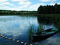 Kaminskie Lake in Puszcza Zielonka (5).jpg