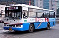 Daewoo 2005 BS090 Royal Midi