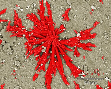 Calcium sulphate crystal grown on a ceramic filter plate surface