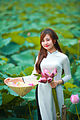 A girl wearing ao dai and taking lotus, in Ha Noi, 2016