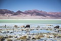 {{Monumento Nacional de Chile|1862}}