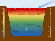 Lakes are stratified into three separate sections: I. The Epilimnion II. The Metalimnion III. The Hypolimnion. The scales are used to associate each section of the stratification to their corresponding depths and temperatures. The arrow is used to show the movement of wind over the surface of the water which initiates the turnover in the epilimnion and the hypolimnion. Lake Stratification (11).svg