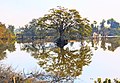 wikimedia_commons=File:Lake of Shiholi Village.jpg