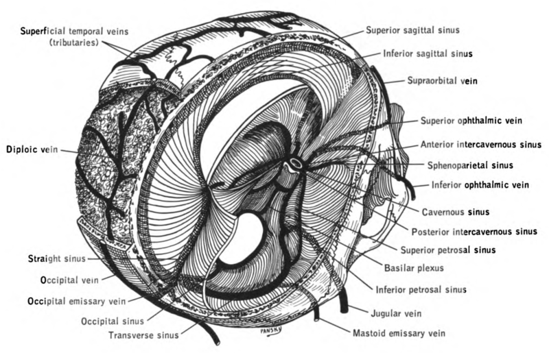 File:Lawrence 1960 4.2.png