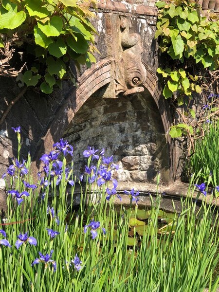 File:Lily pond with dolphin below the terrace.jpg