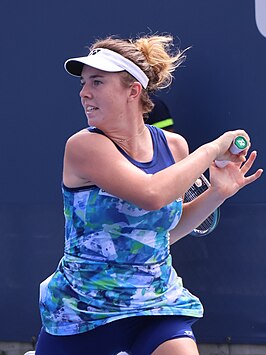Linda Nosková: Loopbaan, Posities op de WTA-ranglijst, Palmares