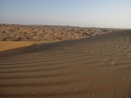 Liwa Desert near Hameem