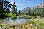 Thumbnail for Ogilvie–MacKenzie alpine tundra