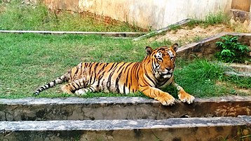 Ludhiana Zoo
