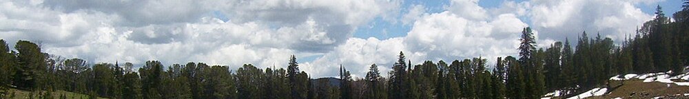 Lumpytrout Montana wikivoyage page banner sky and trees.jpg