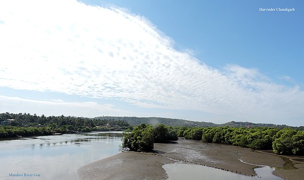 Mandovi River view on cloudy day in winter