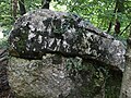 Marchesinia mackaii colonies on carboniferous limestone rock, Arnside-Silverdale AONB, Cumbria, England.