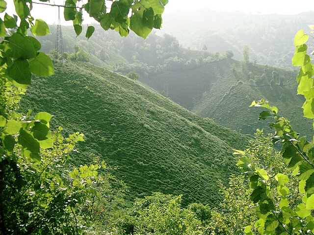 640px-Mazandaran%2C_Iran_%28Nature%29.jp