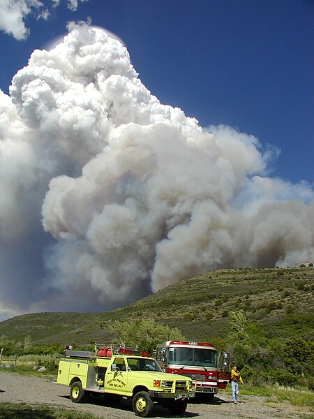 File:McGruderFire7-3-04.JPG