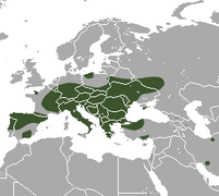 Mediterranean Water Shrew area.png