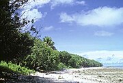 島内西部の豊かな植生と浜辺