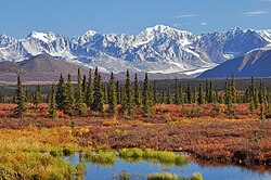 Monahan Flat et les montagnes de l'est de l'Alaska.jpg