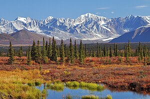 Nenana River und Alaskakette