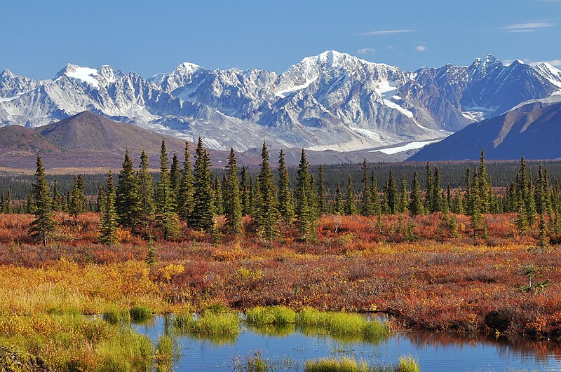File:Monahan Flat and the eastern Alaska Range mountains.jpg