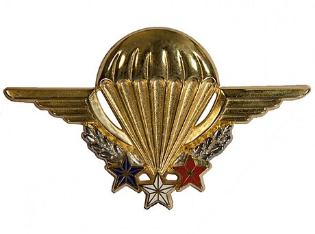 List of French paratrooper units