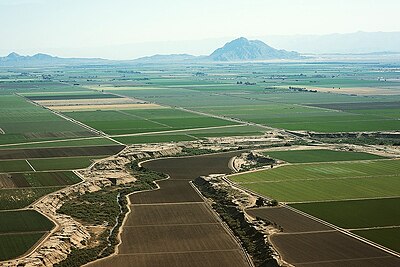 Aerial photo of fields, with Mount Signal in background (2017)