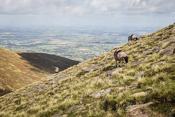 Mourne Mountains Photographer: Diego Lopez