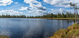 Munktjärnen - vy mot väster.