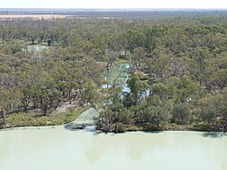 La rivière Murray d'Australie, un environnement similaire à la formation de Catskill lors de la fin du Dévonien.