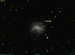 NGC 2900 SDSS.jpg