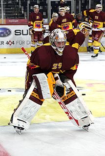 Robert Mayer (ice hockey) ice hockey goaltender from Switzerland