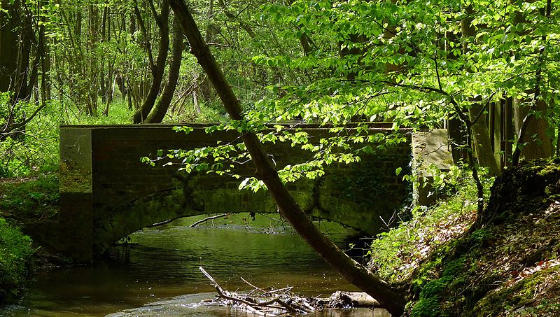 File:NSG DN-001 Jülich, Linnich Kellenberger Kamp Mühlbach DE -NW 1.jpg