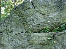 Manhattan schist outcropping in Central Park NY-Central-Park-Rock-7333.jpg