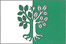 Drapeau de Nelepeč-Žernůvka