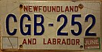 Nyufaundlend va Labrador 1994 yildagi davlat raqami -CGB-252.jpg