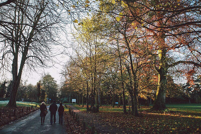 File:Nonsuch Park in Winter, Surrey.jpg