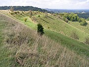 Northern edge of Beacon Hill hillfort - geograph.org