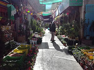 Nurseries in Jordan.jpg